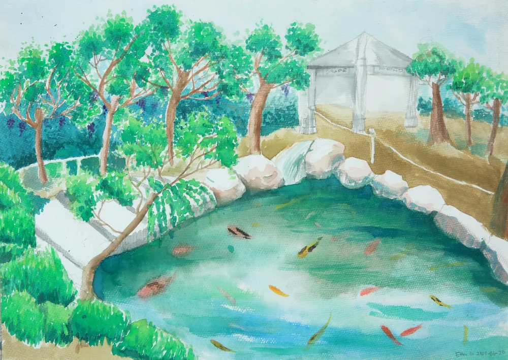 A watercolour painting of a tranquil pond with koi fish, surrounded by stone edging, lush green trees, and a gazebo in the background