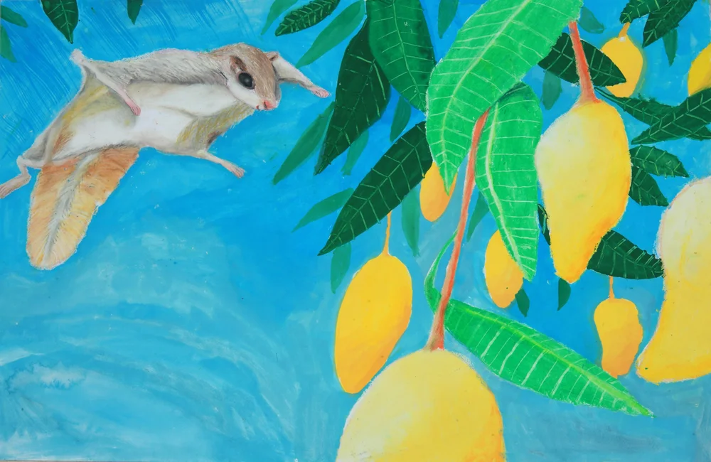 A painting of a sugar glider clinging to a branch among mango leaves and ripe yellow mangoes against a bright blue sky